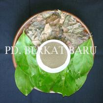 Daun Salam