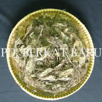 Daun Sendokan
