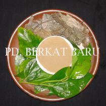 Daun Sirih
