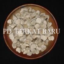 Keladi Tikus