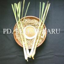 Serai