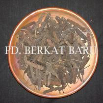 Cabe Jawa