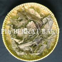Daun Jambu Biji